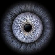 Irisfotografie Günzburg – Iris Fine Art Wandbild im Wohnzimmer